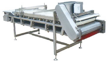 陽(yáng)泉清洗機(jī) 魚類清洗設(shè)備 豐創(chuàng)食品機(jī)械