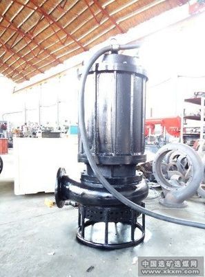 耐磨防堵潛水礦渣泵 選煤設(shè)備中的高效解決方案